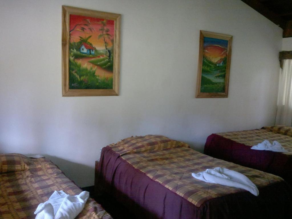 Hostel Villa Verde Monteverde Exteriör bild