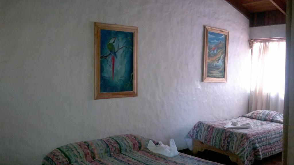 Hostel Villa Verde Monteverde Exteriör bild