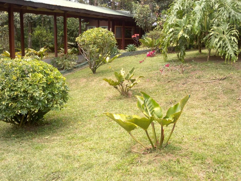 Hostel Villa Verde Monteverde Exteriör bild
